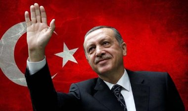 Erdogan’s Caliphate Project and Jihadist Organizations: India Connection