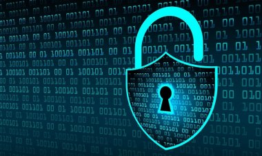 The "SolarWinds Hack": A Global Cyberattack