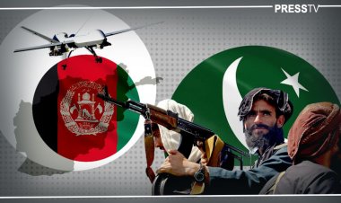 Pakistan should not advocate the Taliban's case