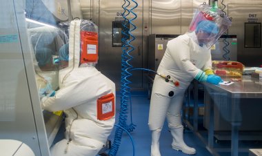 Covid Origins... Zoonotic or Biowarfare Accidental Lab leak?