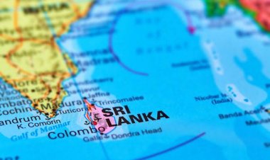 An Analysis of the Indo-Sri Lankan Relationship in Wake of the Recent Crisis