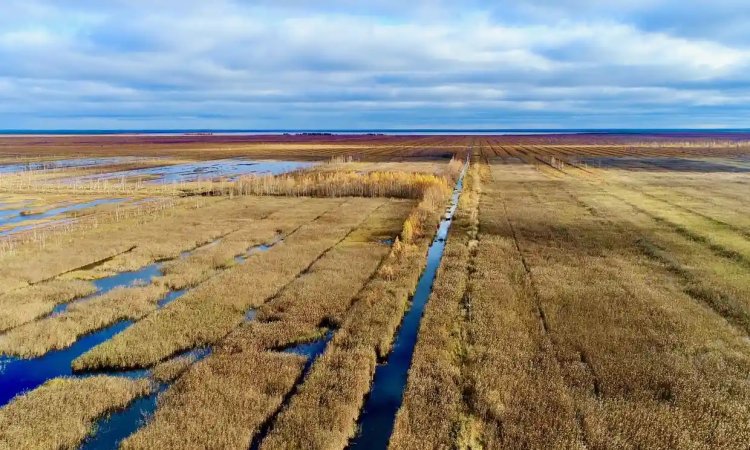 Wetlands: Threats and Opportunities for Food Security and National Stability