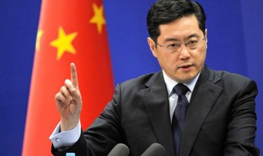 Qin Gang: Fall of the President’s Man