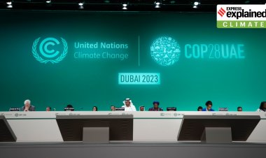 COP28's Sustainable Energy and Climate Resilience Agenda