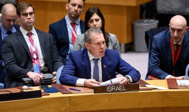 A UN Endorsed Ceasefire Resolution : Tracking Israel- Hamas War