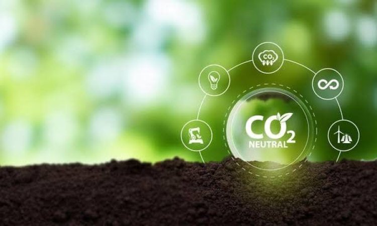 India's Green dream for a sustainable future: An ambitious roadmap towards carbon neutrality