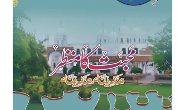 Thematic Summary of Jaish-e-Mohammed's Medina: Issue-135