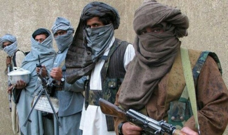 Turning on the Creator: TTP and the Military’s Deadly Gamble