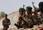 Mali: A new jihadist caliphate in making