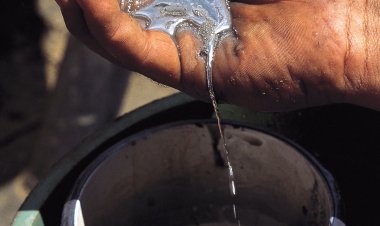 The Price of Heavy Metals: Mercury, Lead, and the Making of a Human Security Crisis