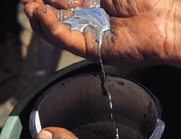 The Price of Heavy Metals: Mercury, Lead, and the Making of a Human Security Crisis