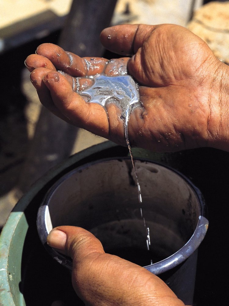 The Price of Heavy Metals: Mercury, Lead, and the Making of a Human Security Crisis